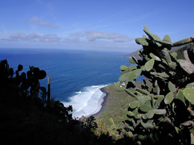 La Palma