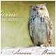 Owl Medicine