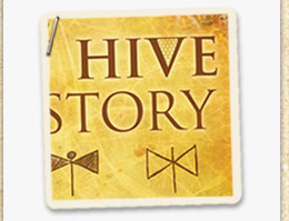 Hidden Hive Of History
