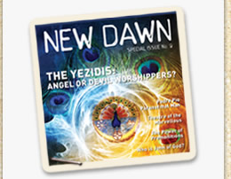 New Dawn