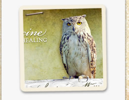 Owl Medicine